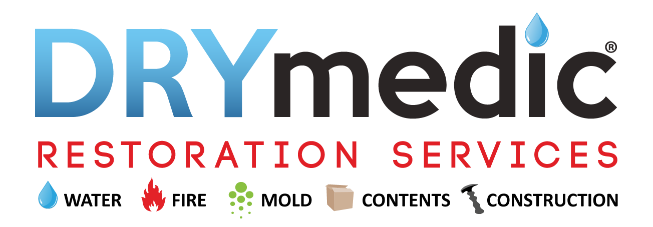 Drymedic logo